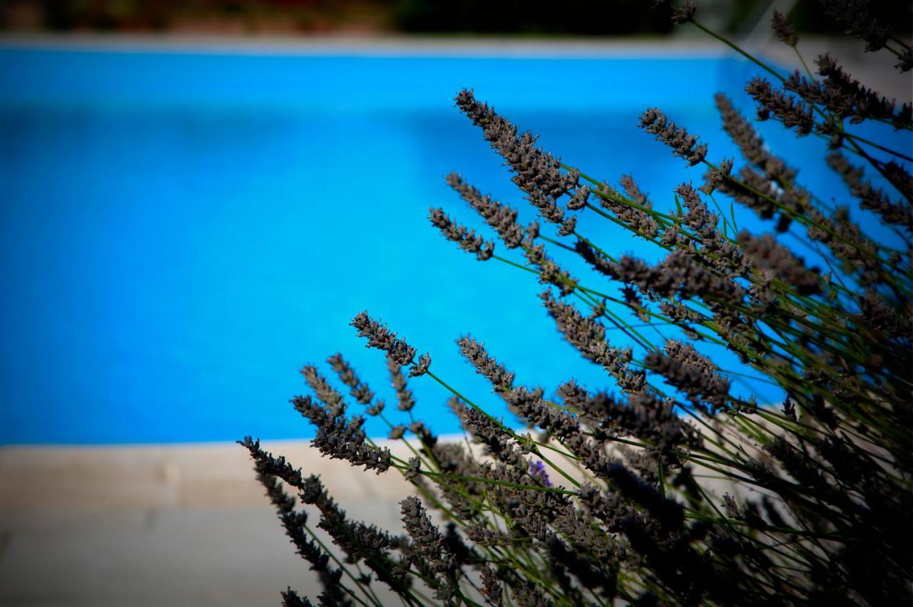 Agriturismo Girolomoni - Locanda Isola del Piano Eksteriør billede